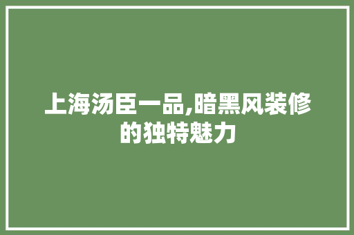 上海汤臣一品,暗黑风装修的独特魅力