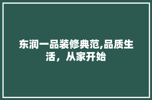 东润一品装修典范,品质生活，从家开始 东润一品装修典范,品质生活，从家开始 MI家公司推荐
