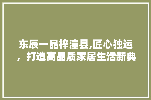 东辰一品梓潼县,匠心独运，打造高品质家居生活新典范 东辰一品梓潼县,匠心独运，打造高品质家居生活新典范 MI家设计指南