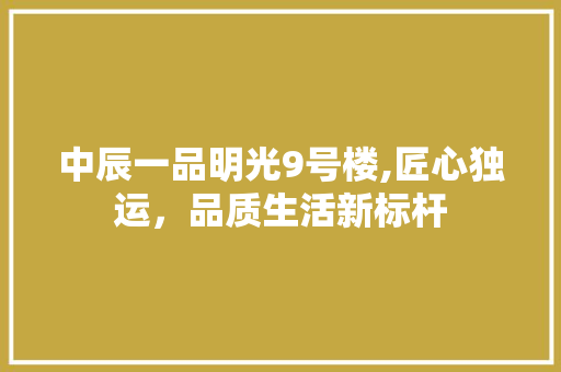 中辰一品明光9号楼,匠心独运，品质生活新标杆 中辰一品明光9号楼,匠心独运，品质生活新标杆 MI家设计指南