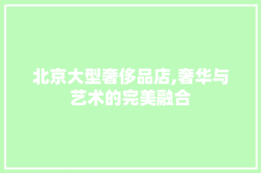 北京大型奢侈品店,奢华与艺术的完美融合