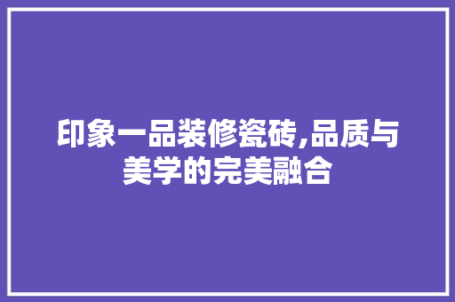 印象一品装修瓷砖,品质与美学的完美融合 印象一品装修瓷砖,品质与美学的完美融合 MI家设计指南