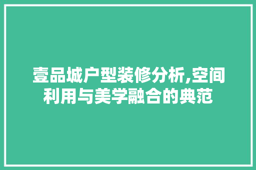 壹品城户型装修分析,空间利用与美学融合的典范(壹品城楼盘详情)