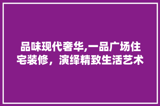 品味现代奢华,一品广场住宅装修，演绎精致生活艺术