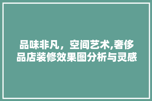 品味非凡，空间艺术,奢侈品店装修效果图分析与灵感启示