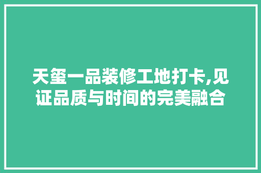 天玺一品装修工地打卡,见证品质与时间的完美融合 天玺一品装修工地打卡,见证品质与时间的完美融合 MI家装修经验