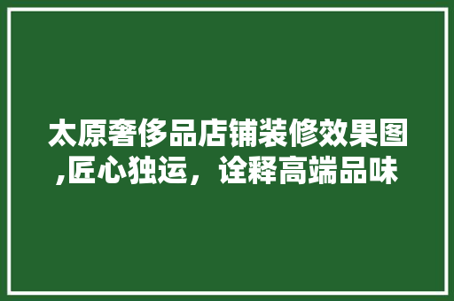 太原奢侈品店铺装修效果图,匠心独运，诠释高端品味生活