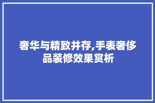 奢华与精致并存,手表奢侈品装修效果赏析(手表装修效果图)