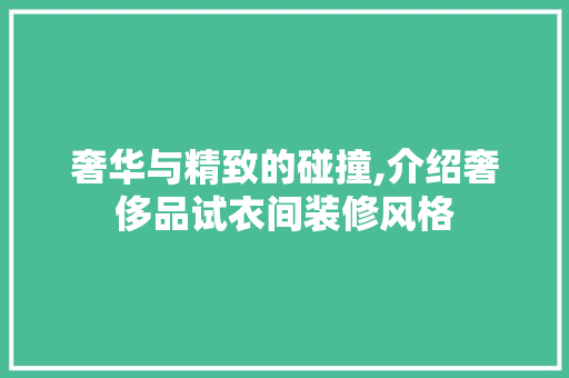 奢华与精致的碰撞,介绍奢侈品试衣间装修风格