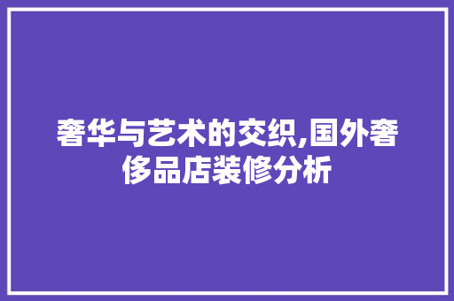 奢华与艺术的交织,国外奢侈品店装修分析