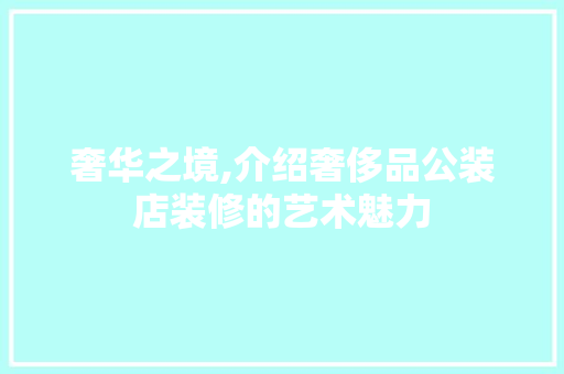 奢华之境,介绍奢侈品公装店装修的艺术魅力