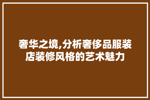 奢华之境,分析奢侈品服装店装修风格的艺术魅力(奢侈品服装店装修效果图)