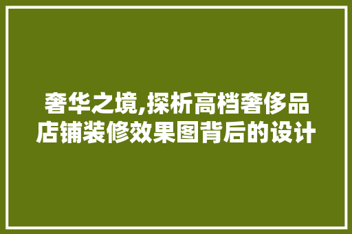 奢华之境,探析高档奢侈品店铺装修效果图背后的设计哲学(奢侈品店装修风格)