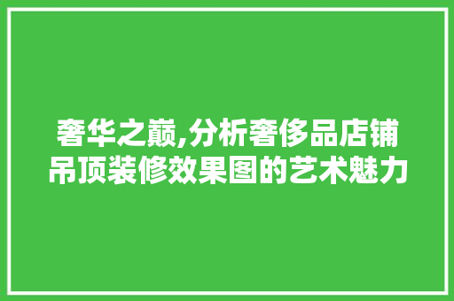 奢华之巅,分析奢侈品店铺吊顶装修效果图的艺术魅力
