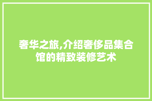 奢华之旅,介绍奢侈品集合馆的精致装修艺术