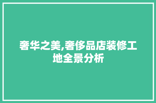 奢华之美,奢侈品店装修工地全景分析 奢华之美,奢侈品店装修工地全景分析 MI家装修攻略