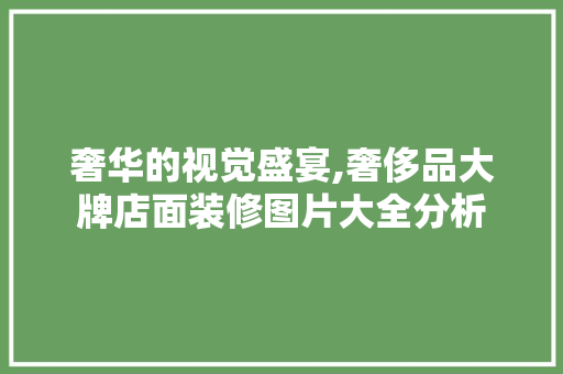 奢华的视觉盛宴,奢侈品大牌店面装修图片大全分析