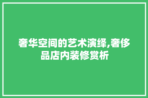 奢华空间的艺术演绎,奢侈品店内装修赏析