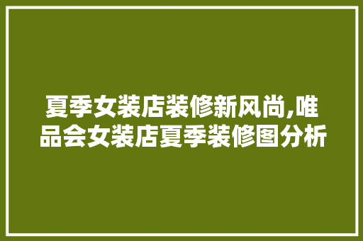 夏季女装店装修新风尚,唯品会女装店夏季装修图分析