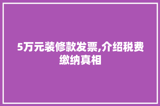 5万元装修款发票,介绍税费缴纳真相