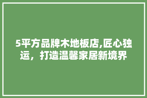 5平方品牌木地板店,匠心独运，打造温馨家居新境界