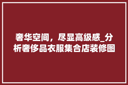 奢华空间，尽显高级感_分析奢侈品衣服集合店装修图