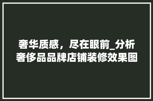 奢华质感，尽在眼前_分析奢侈品品牌店铺装修效果图