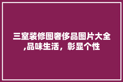 三室装修图奢侈品图片大全,品味生活，彰显个性(三室装修图奢侈品图片大全,品味生活,彰显个性风格)
