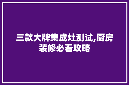 三款大牌集成灶测试,厨房装修必看攻略