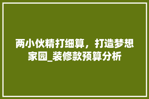 两小伙精打细算，打造梦想家园_装修款预算分析