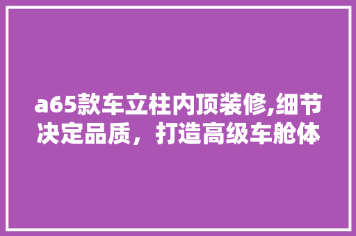 a65款车立柱内顶装修,细节决定品质，打造高级车舱体验 a65款车立柱内顶装修,细节决定品质，打造高级车舱体验 MI家装修经验