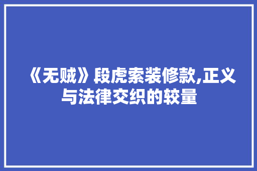 《无贼》段虎索装修款,正义与法律交织的较量