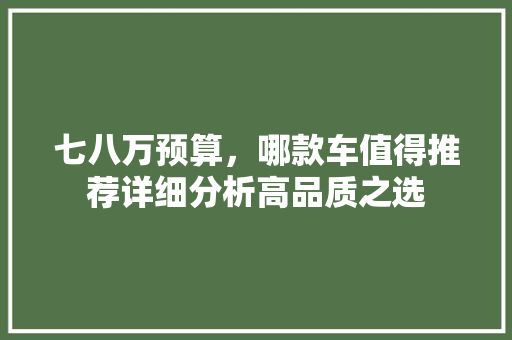 七八万预算，哪款车值得推荐详细分析高品质之选 七八万预算，哪款车值得推荐详细分析高品质之选 MI家装修经验