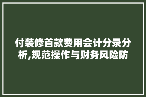 付装修首款费用会计分录分析,规范操作与财务风险防范