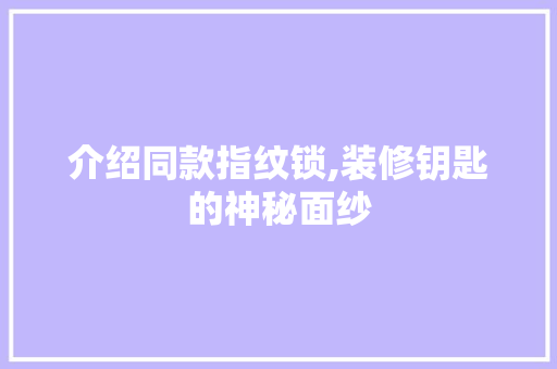 介绍同款指纹锁,装修钥匙的神秘面纱