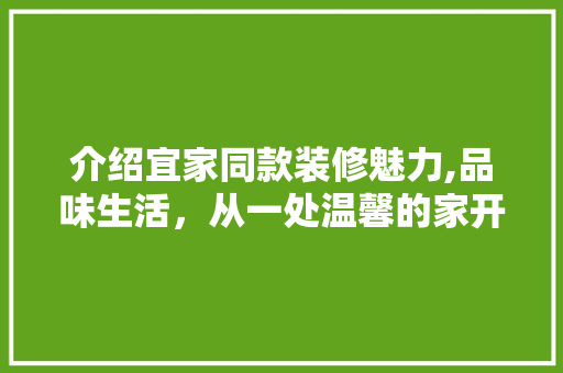 介绍宜家同款装修魅力,品味生活，从一处温馨的家开始