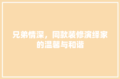 兄弟情深，同款装修演绎家的温馨与和谐