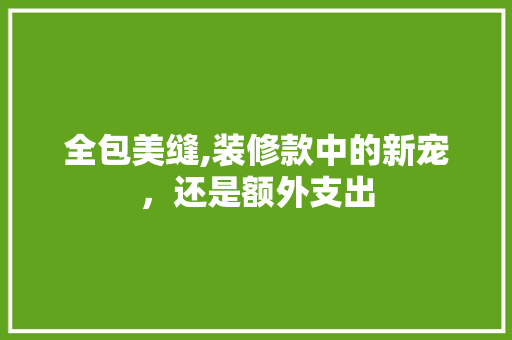全包美缝,装修款中的新宠，还是额外支出