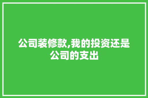 公司装修款,我的投资还是公司的支出