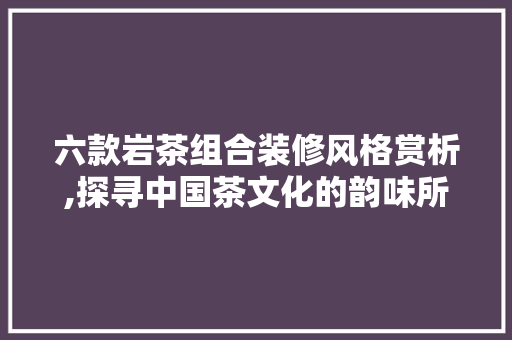 六款岩茶组合装修风格赏析,探寻中国茶文化的韵味所在