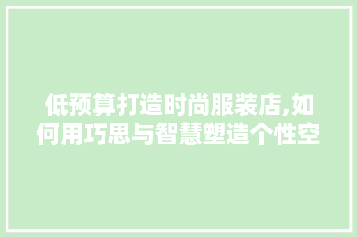 低预算打造时尚服装店,如何用巧思与智慧塑造个性空间