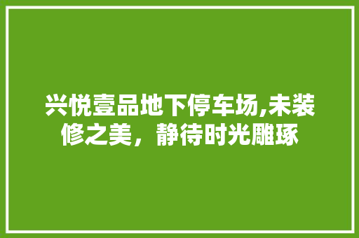 兴悦壹品地下停车场,未装修之美，静待时光雕琢