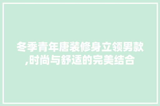冬季青年唐装修身立领男款,时尚与舒适的完美结合
