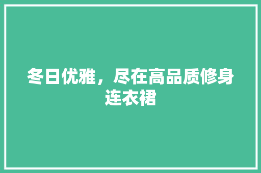 冬日优雅，尽在高品质修身连衣裙