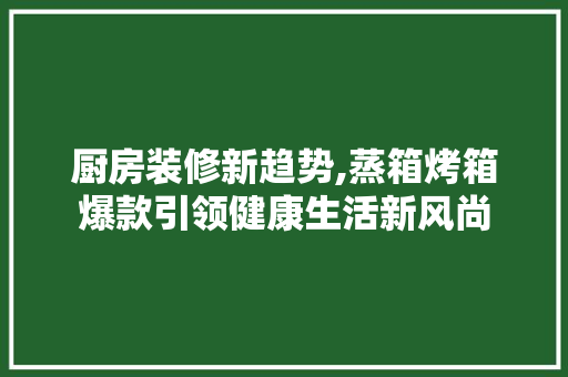 厨房装修新趋势,蒸箱烤箱爆款引领健康生活新风尚 厨房装修新趋势,蒸箱烤箱爆款引领健康生活新风尚 MI家设计指南