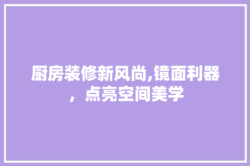 厨房装修新风尚,镜面利器，点亮空间美学(厨房镜面橱柜效果图)