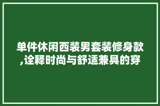 单件休闲西装男套装修身款,诠释时尚与舒适兼具的穿搭艺术