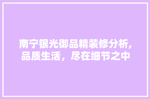 南宁银光御品精装修分析,品质生活，尽在细节之中