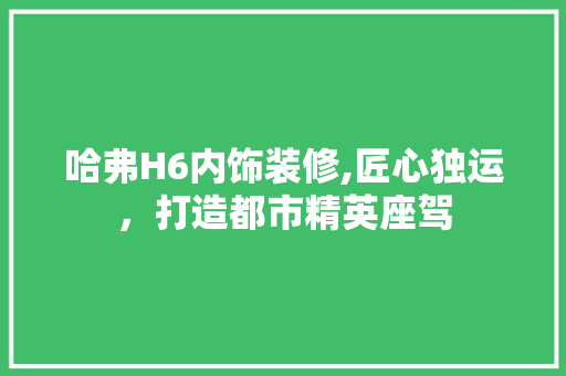 哈弗H6内饰装修,匠心独运，打造都市精英座驾