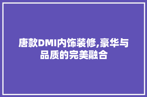 唐款DMI内饰装修,豪华与品质的完美融合